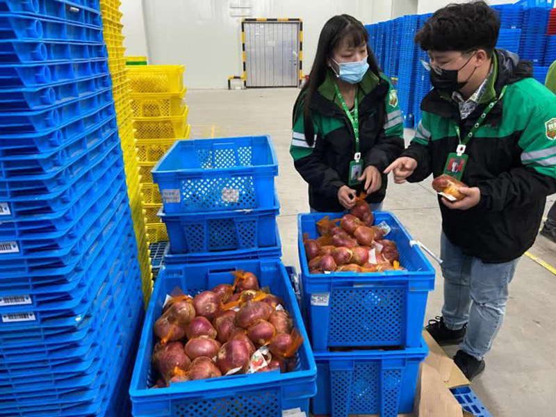 蔬菜生鮮使用（yòng）塑料周轉筐